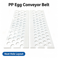 Systèmes de cages d'élevage multi-niveaux en PP poreux ventilé avec tapis roulant pour œufs, récupération automatique douce des œufs et démontage facile