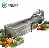 Fruitblancheringsmachine, hete waterblancheringsmachine, machine voor barbecueroergebakken aardappelen