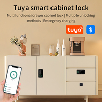 Tuya APP empreinte digitale armoire à tiroirs intelligente serrure Invisible carte Ic déverrouiller armoire meubles électronique capteur sans clé serrure GS313