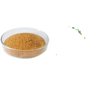 High Quality Extract Green Tea Powder With Good Reputation For Sale