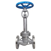 Vanne à soupape manuelle flexible cryogénique à tige longue en acier inoxydable API/API 6D avec joints de disque PCTFE DN10-DN200
