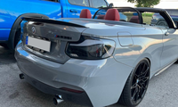 Conjunto de Luces Traseras YX New Dragon Scale para BMW Serie 2 F22 F23 2014-2021, LED 100% Impermeables, Plug+Play, Señal de Giro Secuencial