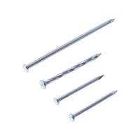 Clous en acier galvanisé trempé pour maçonnerie, construction, menuiserie, mur en briques, ciment, bois, quincaillerie de fixation