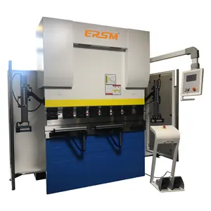 Efficient and Versatile 110Tons Hybrid Servo CNC Press Brake for Metal Fabrication