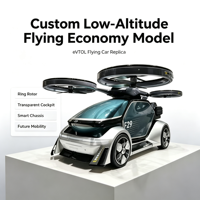 Modèle d'affichage économique pour vols à basse altitude personnalisé