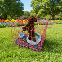 Cage pour chien pliable robuste de haute qualité avec cadre en fer, fermeture à bouton-pression, double porte, plateau en plastique thermolaqué, Easy Box
