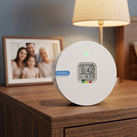 Détecteur de radon domestique sans fil avec écran E-ink, moniteur de gaz radon alimenté par batterie pour sous-sol, testeur numérique de radon RN300C