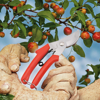 Sécateur à cliquet en acier inoxydable, coupe-branches, poignée antidérapante, sécateur de jardin avec verrou de sécurité