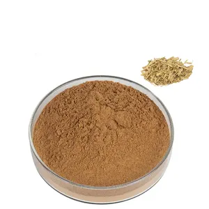 Factory Wholesale Organic Ptychopetalum Olacoides Extract Muira Puama Bark Root Powder