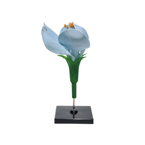 Modelo Desmontable de Disecación de Flor de Guisante |   Material Didáctico sobre la Estructura de las Flores - Product Image 3