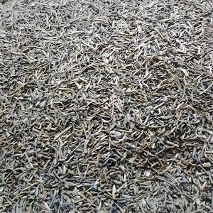 Veilig En Gezond Biologisch Afbreekbaar, Milieuvriendelijk, Snel Klonterige Groene Thee-Droesem Met Laag Stof Kattenklonterig Afval - Product Image 5