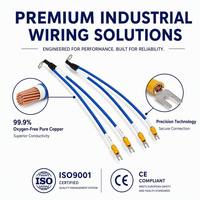 Harnais de câblage personnalisé avec connecteurs JST XH PH, assemblage de câbles certifié RoHS ISO9001 CE, faisceau de câblage industriel avec cosses de terminaison