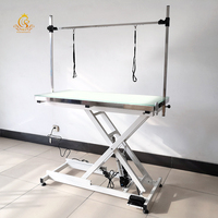 EUR Offre Spéciale PET Table de toilettage pour chiens Table de toilettage pour chiens avec lumière LED Table de toilettage électrique pour chiens pour le nettoyage et le toilettage des animaux domestiques