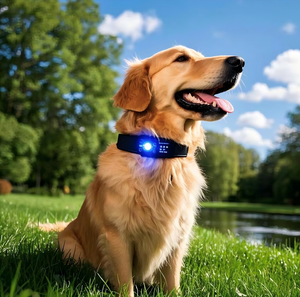 OEM ODM Smart Pet GPS Tracker Monitoreo de la salud del perro 4G WiFi Ubicación en tiempo real Anti-Pérdida Collar impermeable con cerca virtual - Product Image 3