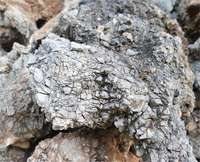Roche naturelle sèche pour aquarium marin, roche de fond pour récif corallien, roche fossile poreuse pour aquascape et aménagement aquatique en eau salée