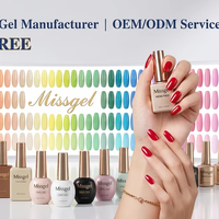 Missgel 2026 TPO Free 60 Couleurs 15ml Vernis à Ongles Personnalisable Logo Très Bonne Qualité Gel UV OEM Sans HEMA Kit de Vernis Gel