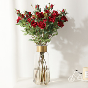 AL-5678 ZUOYI 65cm da sogno 6 teste di seta artificiale 2 rami rosa fiore per interni - Product Image 4