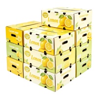 Groothandel duurzame op maat bedrukte golfkartonnen fruitdoos voor verpakkingen van druiven, kersen, appels, citroenen, sinaasappels, mango's en pruimen