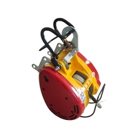 Promotion : Mini-treuil électrique à câble certifié CE, capacités 100kg, 200kg, 500kg, 1000kg, idéal pour le levage en garage et entrepôt