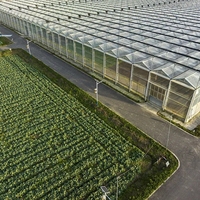 Serre intelligente en verre avec système de contrôle climatique pour la culture hydroponique de légumes et la production commerciale