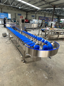 Automatic Weighing Scale and Weight Sorting Grading Machine for Fish Processing Automatic Weigh and Sorting Machine - Product Image 4