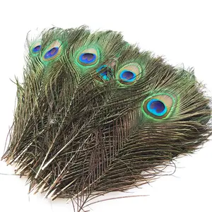 Оптовая Продажа Натуральные 10-12 "большие глаза в виде павлиньих перьев для поделки своими руками на новый год свадебные ремесла Рождественские украшения