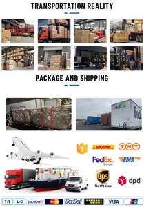 Livraison postale express rapide fret aérien de la Chine aux Philippines Corée Malaisie Japon Thaïlande Singapour livraison porte à porte - Product Image 6