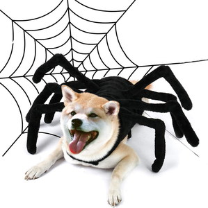 Costumes d'halloween pour animaux de compagnie, chiens, chats, Costume d'<span class=keywords><strong>araignée</strong></span> pour la fête d'halloween, Costumes d'<span class=keywords><strong>araignée</strong></span> Cosplay pour animaux de compagnie, accessoires de vêtements - Product Image 1