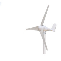 Éolienne portable à axe horizontal 100W 200W 300W 400W pour usage domestique