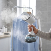 Fer à vapeur électrique portable moderne 220V Mini taille Style de voyage Prise américaine pour la maison, hôtel, vêtements en gros, défroisseurs à vapeur