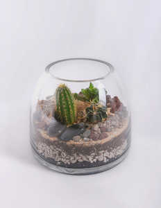 Großhandel DIY <span class=keywords><strong>Terrarium</strong></span> Plant Kit Kunden spezifische Miniatur Landschaft Diy Dekoration - Product Image 3
