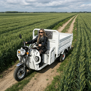 2026 BEIHAI Three Wheeled Supercar Cheap Mini 60V 2000W Scooter 3 Wheel <b>Passenger</b> Tricycles for Adults - Product Image 1
