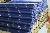 Fabricant professionnel de bâches en PVC HLD Style de revêtement uni personnalisable pour l'utilisation d'auvent Supports diverses spécifications