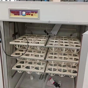 72개 타조 부화기 오스트리아 계란 부화 상자 - Product Image 1