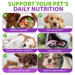 Gouttes multivitaminées 15-en-1 pour chiens, marque privée, complément liquide, renforcement immunitaire, soin de la peau et du pelage, santé des voies urinaires, des os et des articulations, 60 ml - Product Image 6