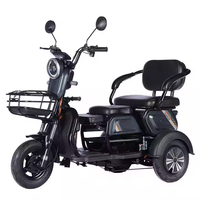 Tricycle électrique motorisé en acier, robuste> 60V >1000W, engrenages à 3 vitesses, plastique ouvert certifié DOT pour 4 passagers 20/58AH