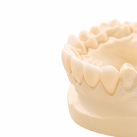Modèle dentaire en zircone Ecolab le mieux noté pour la pratique des étudiants en dentisterie et la restauration métal-céramique, conforme ISO 9001