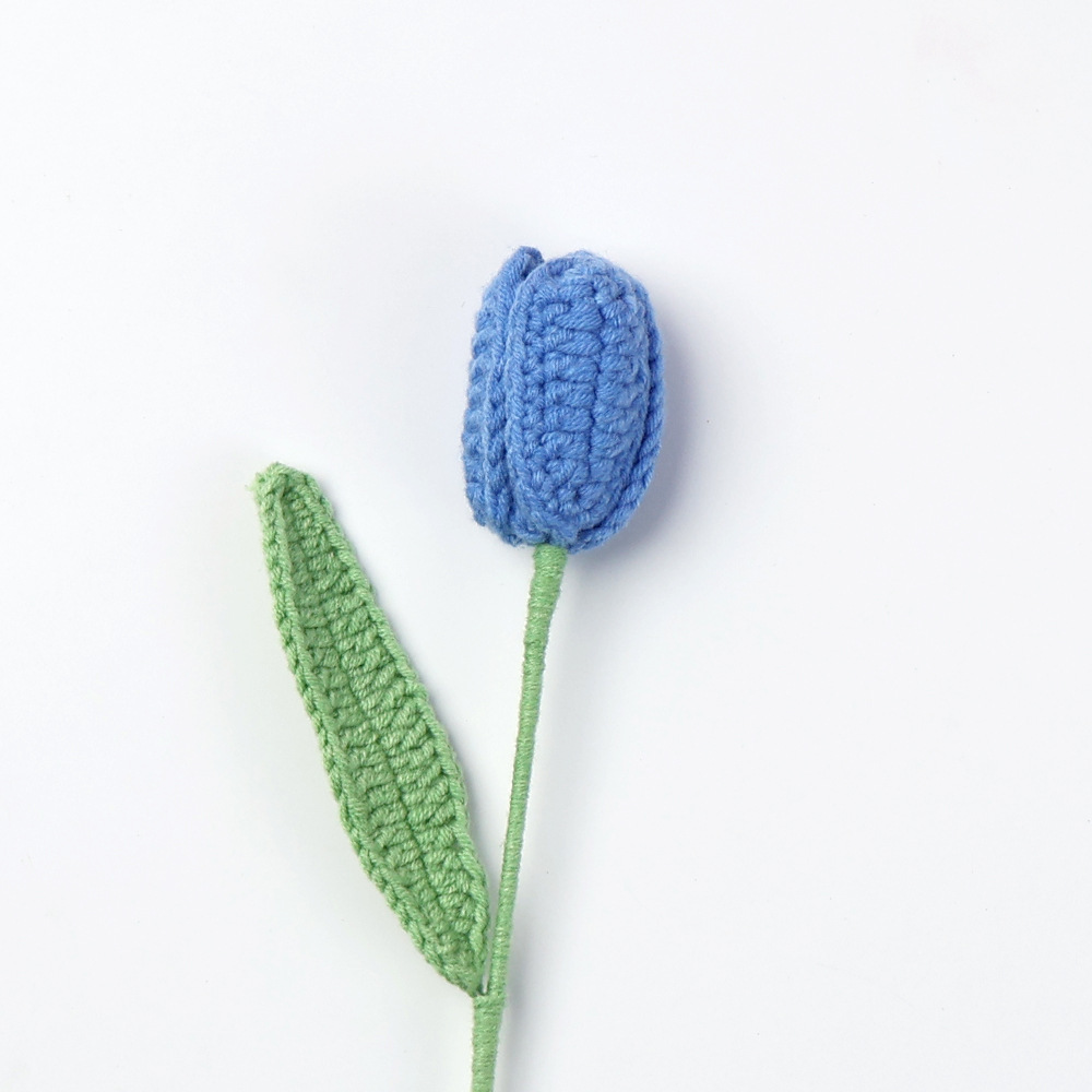 Tulipe finie fermée-bleu