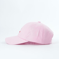 Hoge kwaliteit 6-panel pet, lage profiel pet, geborduurd logo, katoen, sport, outdoor, aanpasbaar, gebogen klep
