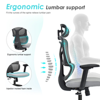 Chaise de bureau pivotante de direction ergonomique en maille avec support lombaire, fabriquée à Foshan