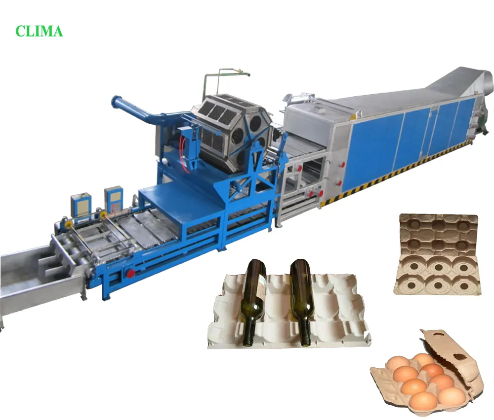 30T Papier Fruitbakje Maken Machine Pulp Making Machine Kleine Winstgevende Industrie Kwartel Eierbak Productie Machine