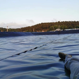 Đen HDPE geomembrane ló<span class=keywords><strong>t</strong></span> Sheets cho Pond <span class=keywords><strong>Liner</strong></span> & bãi rác thấm phòng chống mậ<span class=keywords><strong>t</strong></span> độ cao polyethylene ló<span class=keywords><strong>t</strong></span> hoạ<span class=keywords><strong>t</strong></span> động - Product Image 4