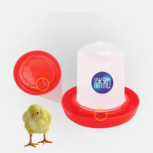 Alimentador automático de frango e copo para beber pato