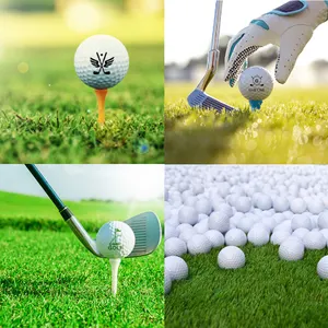 Palline da Golf all'ingrosso Logo personalizzato pallina da Golf imballaggio 2 3 4 pezzi palline da Golf