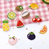 Patchs brodés personnalisés écologiques thermocollants à l'effigie de fruits (noix de coco, kiwi, mangoustan, citron, orange) pour chapeaux et tissus