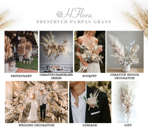 Hflora khô hoa và cây bán buôn tự nhiên pampas cỏ đầy màu sắc bảo quản pampas cho đám cưới sắp xếp - Product Image 6