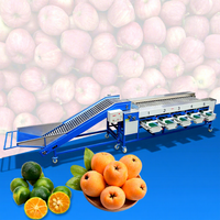 HNOC Citroen Knoflook Sorteermachine Bosbes Dadel Avocado Sorteermachine Aardappel Tomaat Sorteermachine