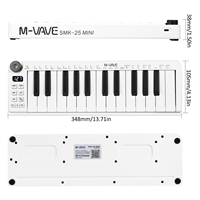 Professional Digital Electronic Piano Usb 25 Key Musical Instrument Midi Keyboard Controller