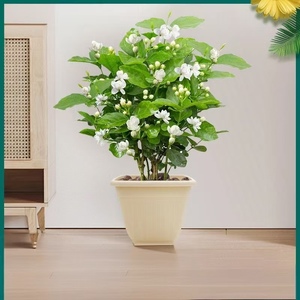 Pot de fleurs en plastique épaissi et respirant, style domestique général, pour jardinage à domicile, <span class=keywords><strong>plantes</strong></span> vertes - Product Image 5