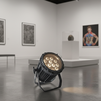 STSLITE - Projecteur de scène LED professionnel mince RGBW 4-en-1, 12 pièces, contrôle DMX512/activation sonore, indice de protection IP33, pour clubs et mariages